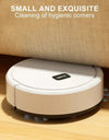 Automatic Sweeping Robot