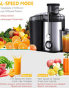 Juice Extractor