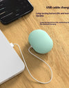 Portable Mini Toothbrush Disinfector For Home Travel